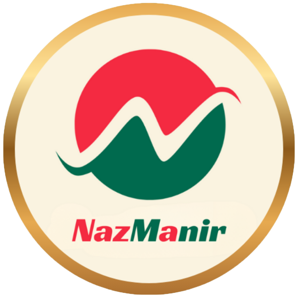NazManir Digital Agency – WordPress Web Design, Development, Ads & Content Services Logo